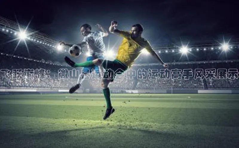 贝博官网下载爱慕股份飞跃巅峰：微山县运动会中的运动高手风采展示