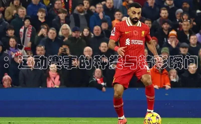 ：运动赛事的种类与精彩瞬间