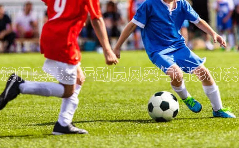 澳门赛事：运动员风采与精彩对决