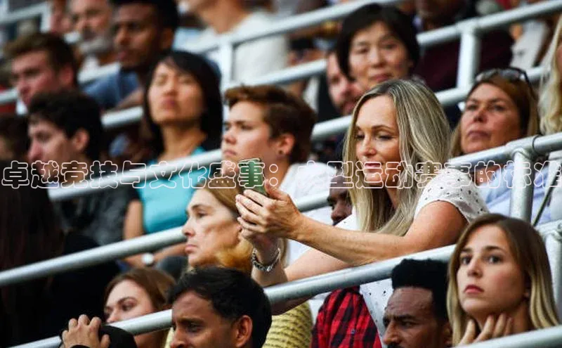 卓越竞技与文化盛事：大型运动赛事的标准