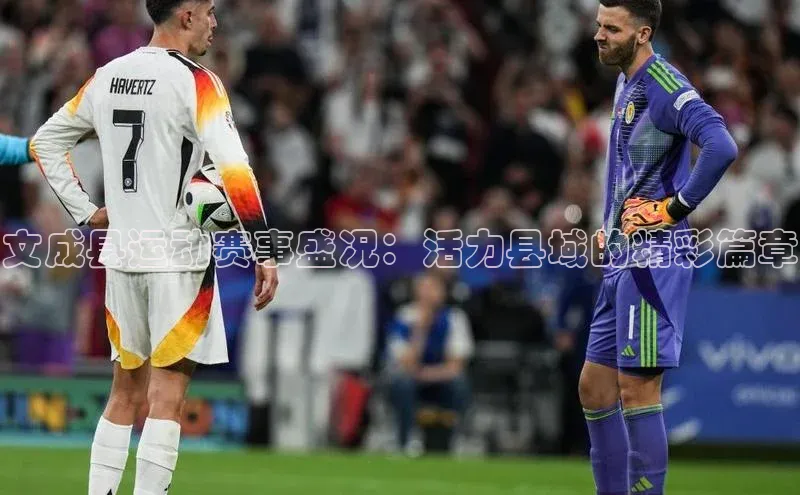 文成县运动赛事盛况：活力县域的精彩篇章