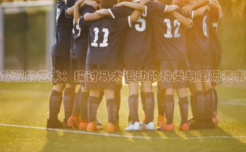 驾驭的艺术：探讨马术运动的种类与国际赛事