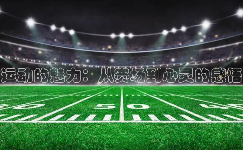 运动的魅力：从赛场到心灵的感悟