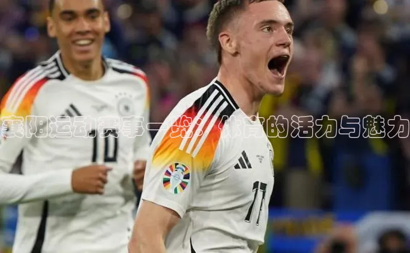 襄阳运动赛事一览：体育的活力与魅力