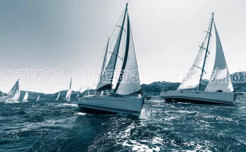 冬季活力：冬日运动赛事的魅力与挑战