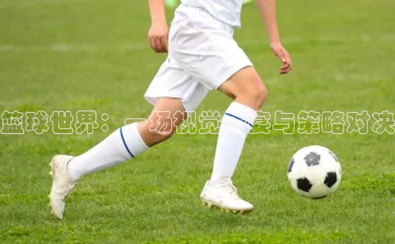 篮球世界：一场视觉盛宴与策略对决