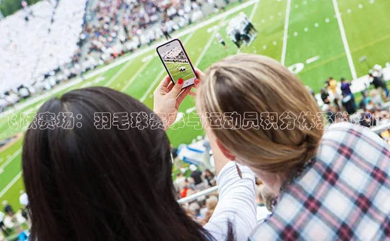 飞跃赛场：羽毛球赛事与运动员积分体系的深度