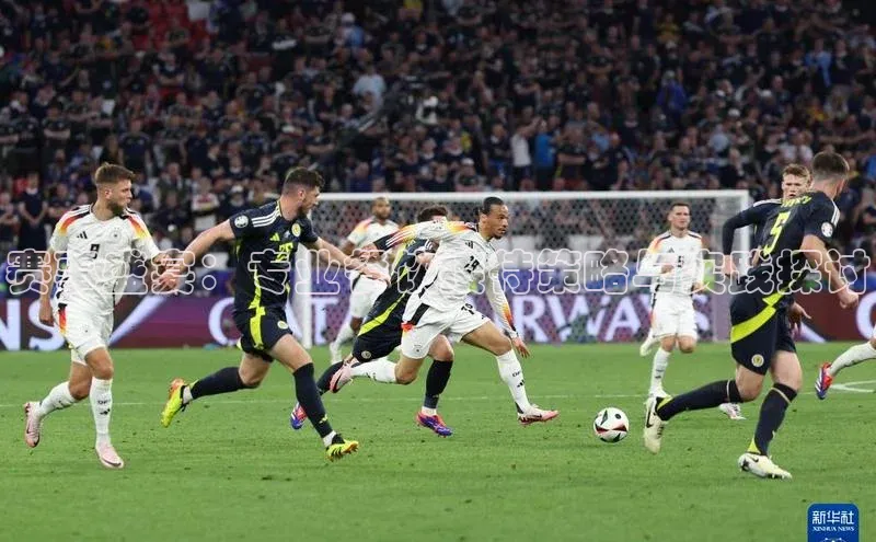 赛事盛宴：专业餐饮接待策略与实践探讨