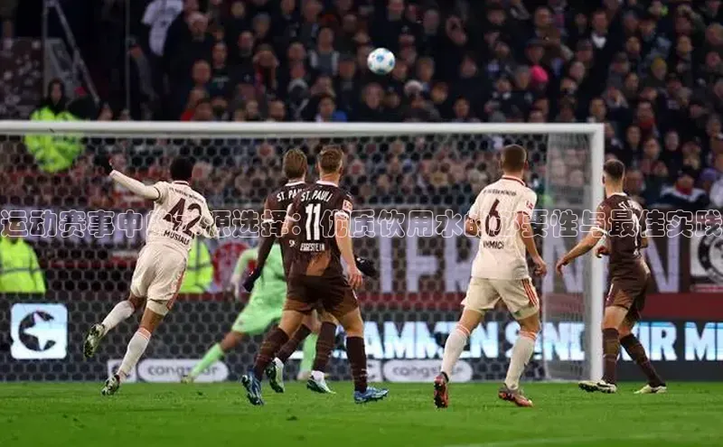 BB贝博ballbet登录入口