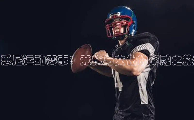 贝博bb平台体育网页版