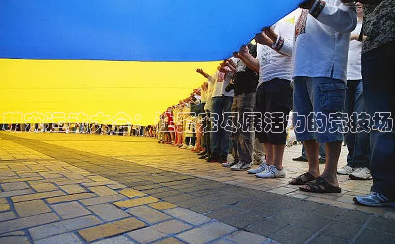 贝博app体育下载安装